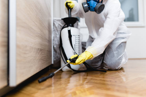 Best Mosquito Control Services  in Ellenton, FL