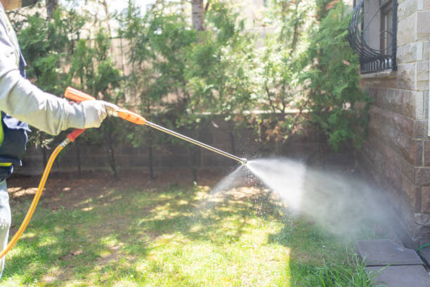 Best Flea Control Services  in Ellenton, FL