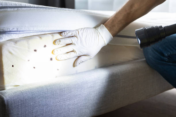 Trusted Ellenton, FL Pest Control Experts