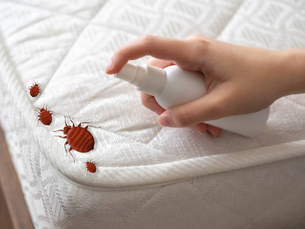 Best Local Pest Control Services  in Ellenton, FL
