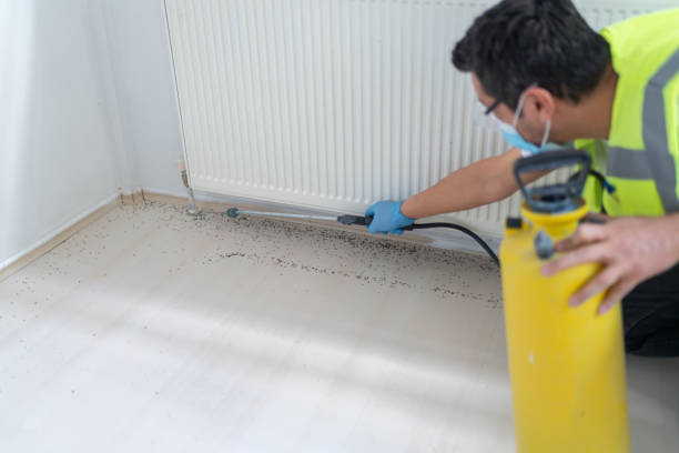 Best Rat Extermination Near Me  in Ellenton, FL